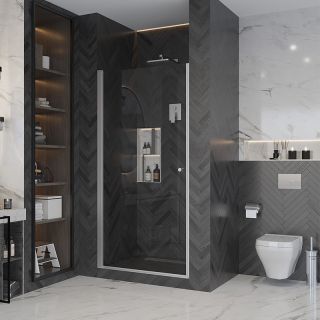 Душевая дверь Ambassador Elysium 111011110CX 90см хром/прозрачное